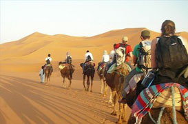 Hill Stations Hotels Near Delhi 